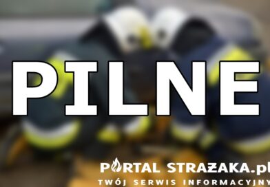 Ogromny pożar lasu na Lubelszczyźnie. Z żywiołem walczy ponad 300 strażaków