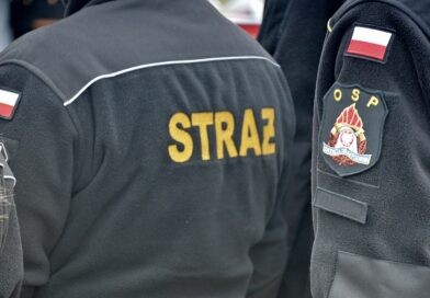 Janowski słoń z brzytwą