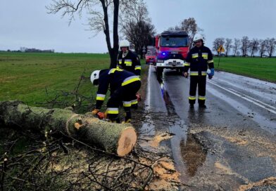 Wielkanoc 2026. PSP podsumowała statystyki świątecznego weekendu