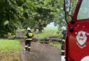 Burzowy weekend. Ponad 3,6 tys. interwencji polskich strażaków