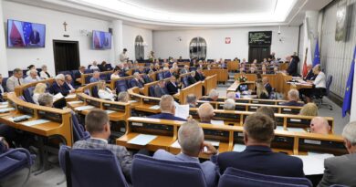Senat za nowelizacją ustawy o OSP. Psy ratownicze zyskają ustawowe umocowanie